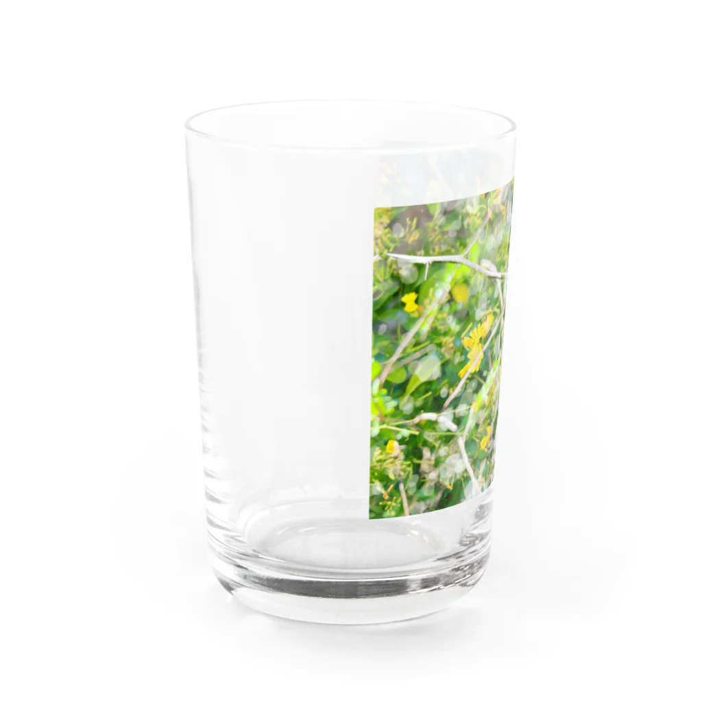 Miku Kafuu ArtsのMikuカフーアーツ【庭でまどろむ】シリーズ🌼 Water Glass :left