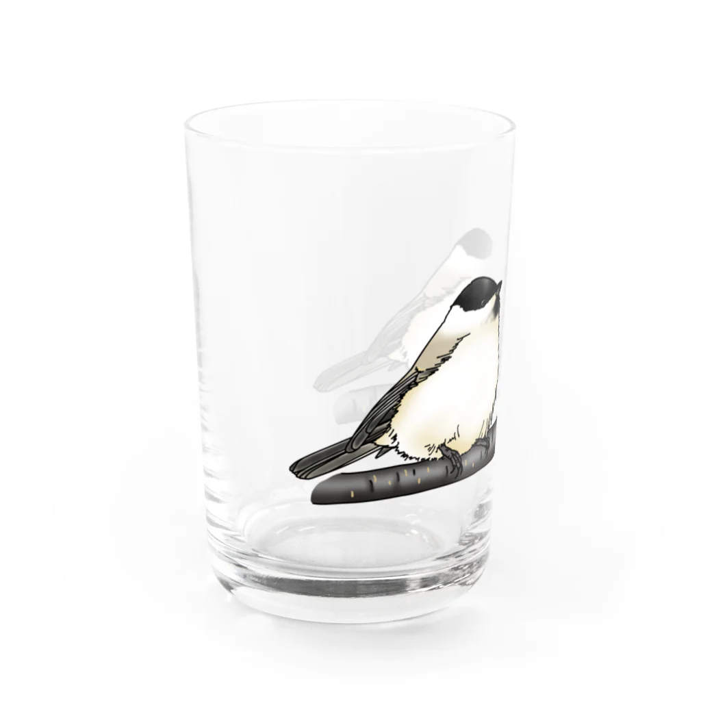 Coo-birdのはしぶとがら＆こがら Water Glass :left