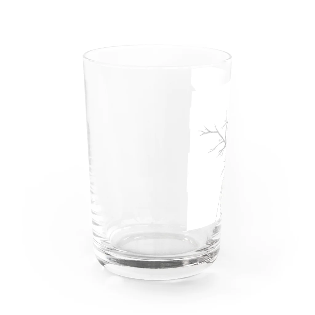 青大将の樹木 Water Glass :left