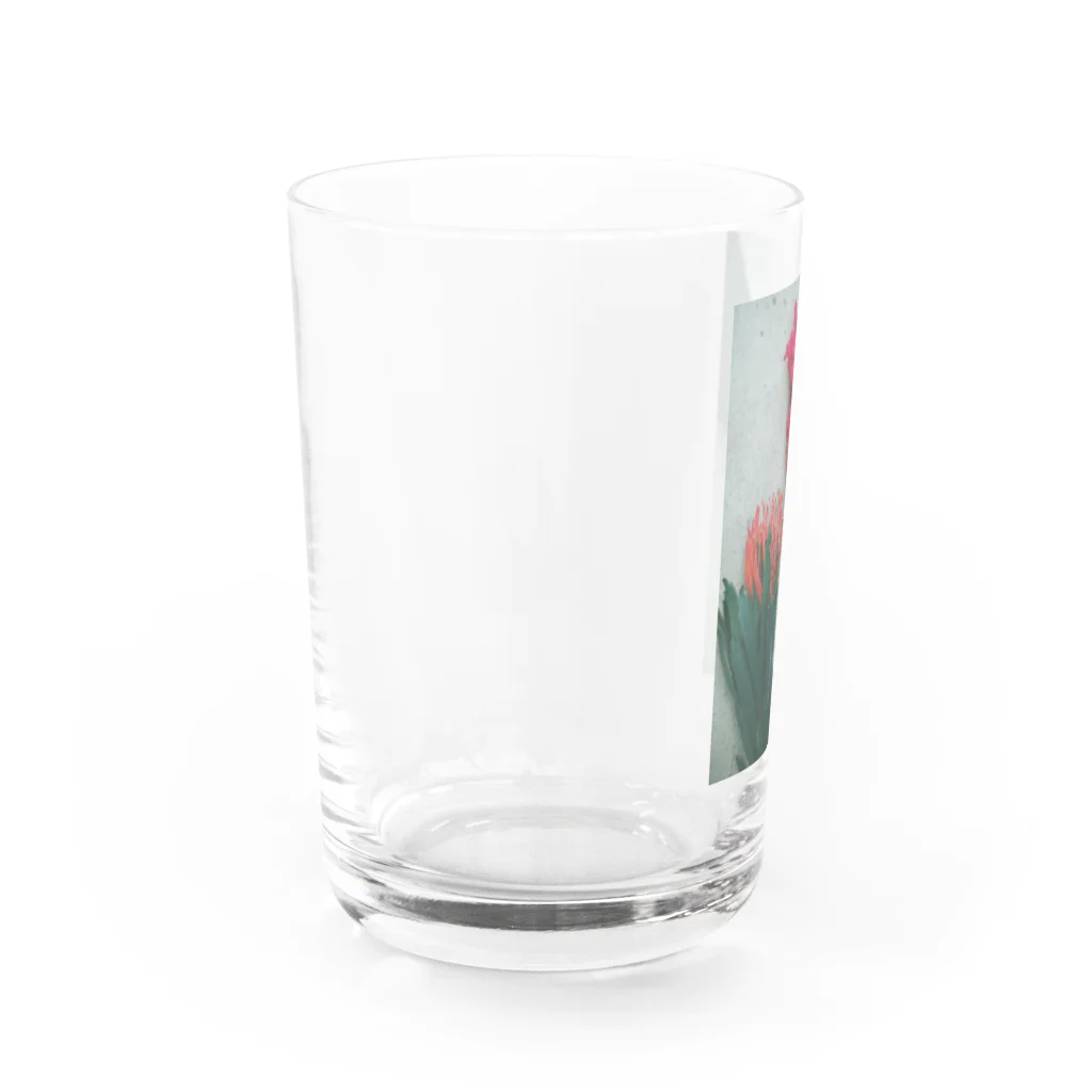 botanical museumのflower Water Glass :left