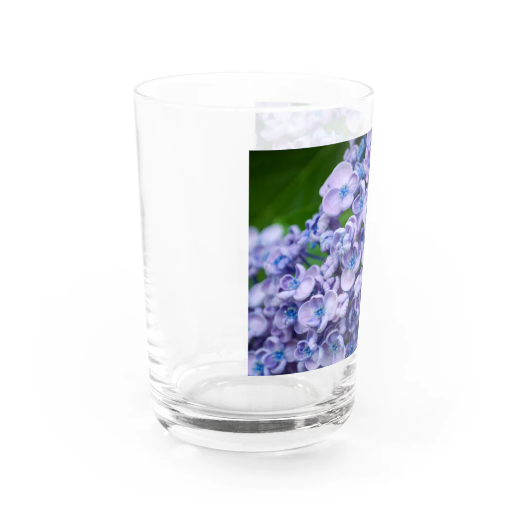 M&Hの紫陽花 Water Glass :left