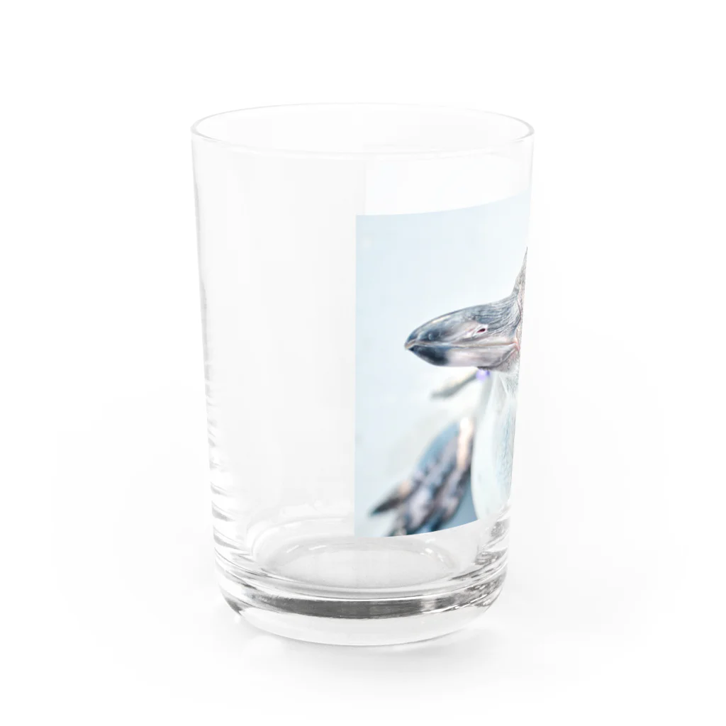 M&Hのペンギン Water Glass :left