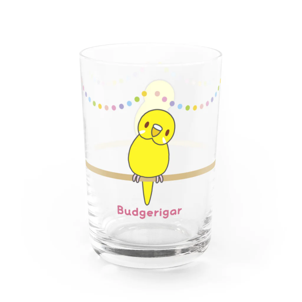 ぴっぴの巣♪ ＊セキセイインコ＊のルチノー女の子＊セキセイインコ＊ Water Glass :left