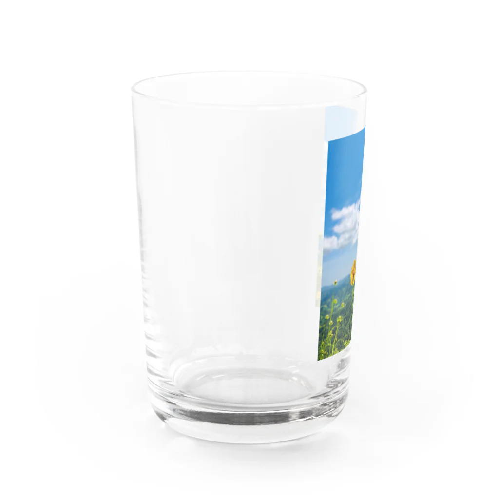 ジャスミンティーのMountainflower Water Glass :left