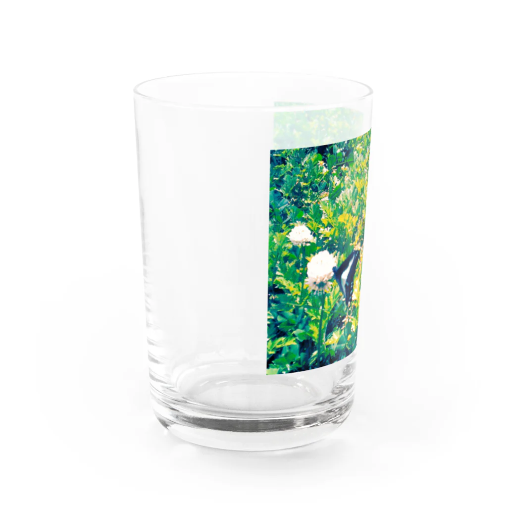 ラズリのトイカメラの青い蝶々とシロツメクサ Water Glass :left