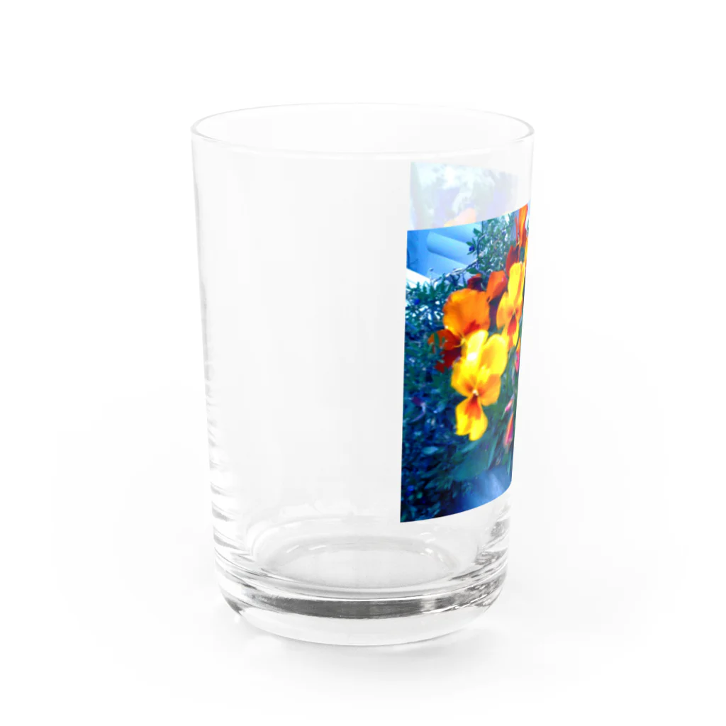 ラズリのトイカメラの発光パンジー Water Glass :left