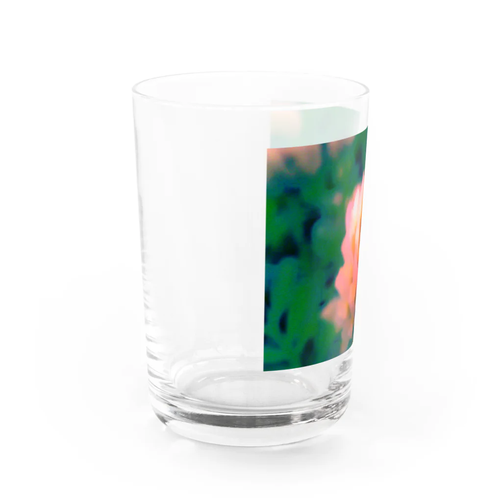 ラズリのトイカメラのシロツメクサ Water Glass :left