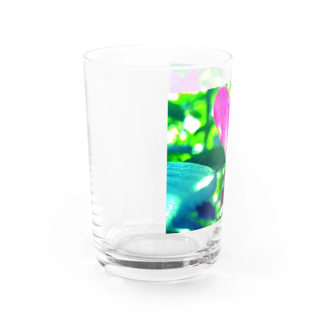 ラズリのトイカメラのpink Water Glass :left