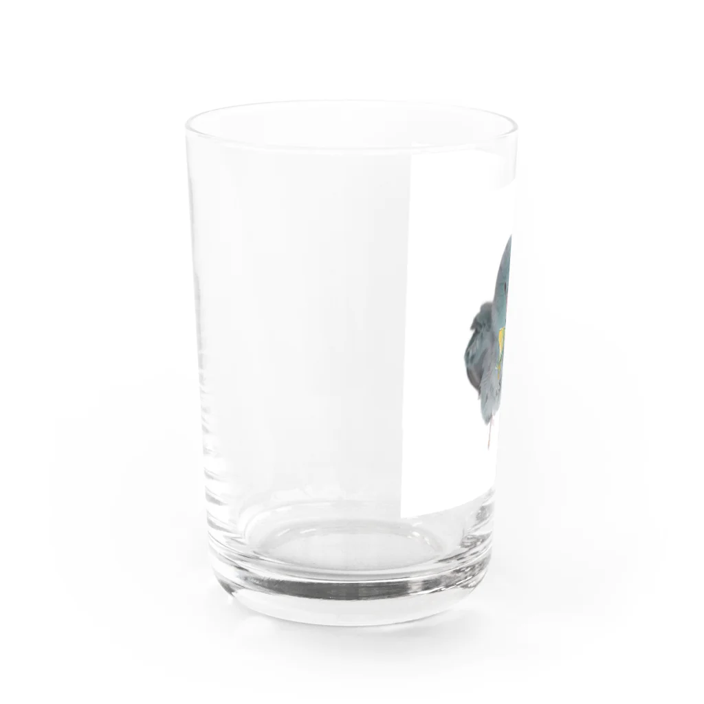 がおーマメちゃんのお散歩マメ Water Glass :left