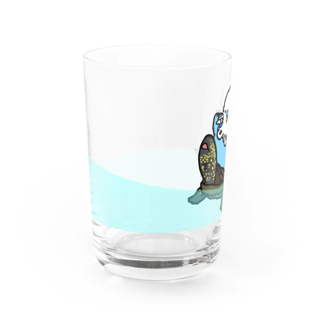 ひかるのジャンボセキセイインコとクサガメ(水あり) Water Glass :left