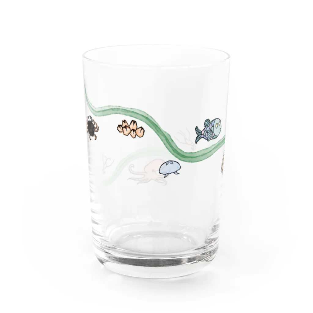 zoomieのうみの幸グラス －こんぶ－ Water Glass :left