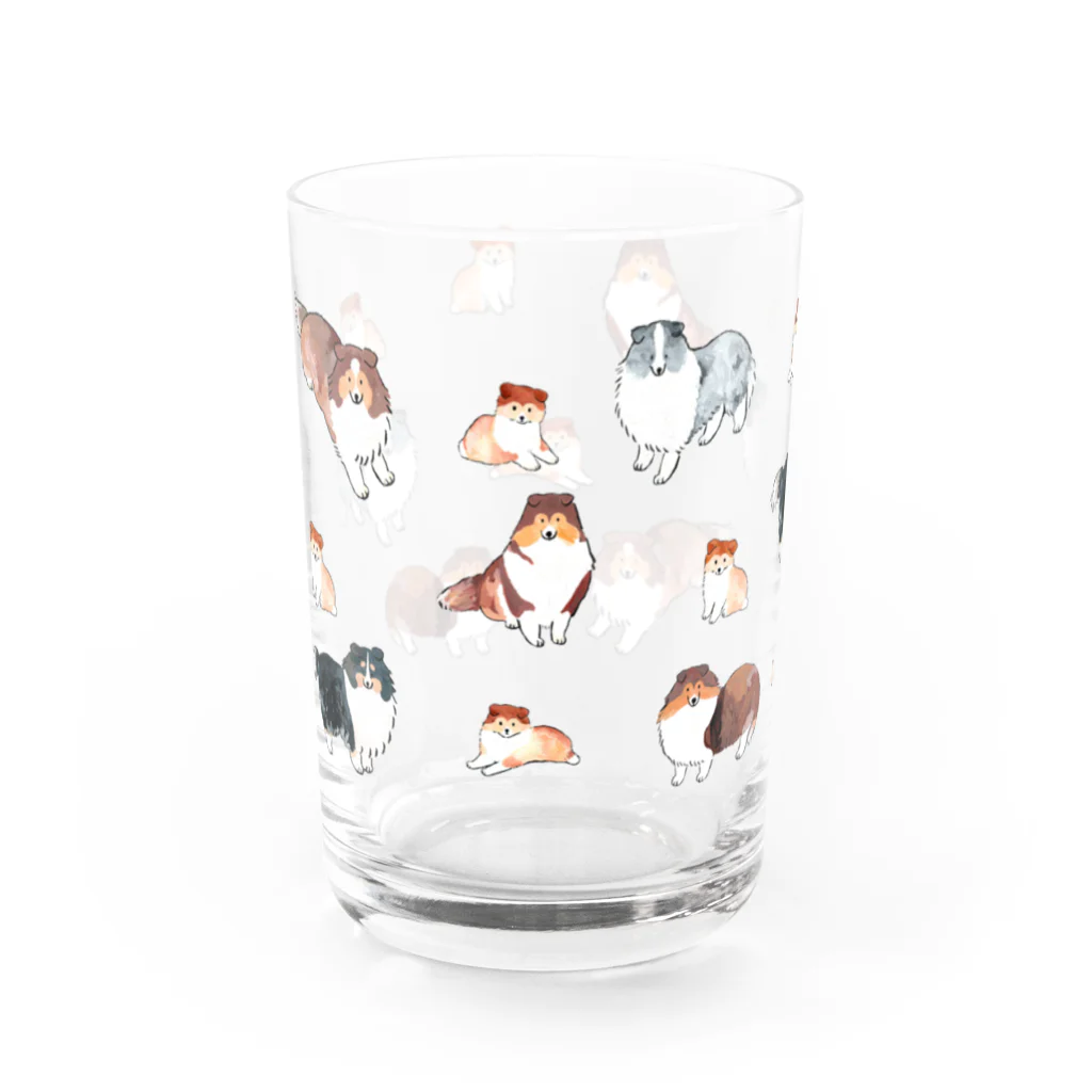 ずっこ（zucco.)のシェルティ大集合 Water Glass :left