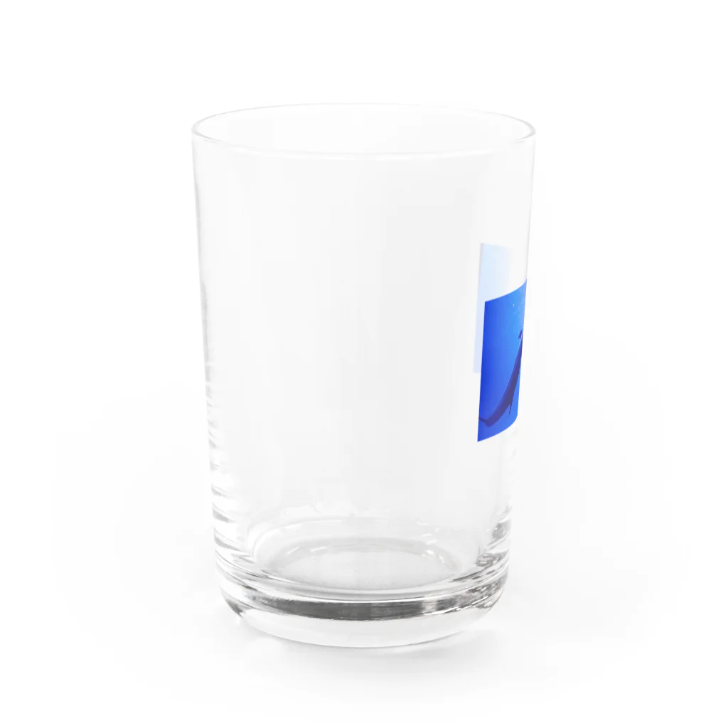 じりきちゃんの家の気持ちよく泳ぐイルカ Water Glass :left