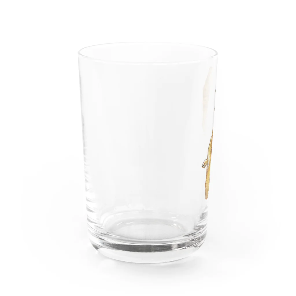 flatcoatedretrieverのgolden retriever Water Glass :left