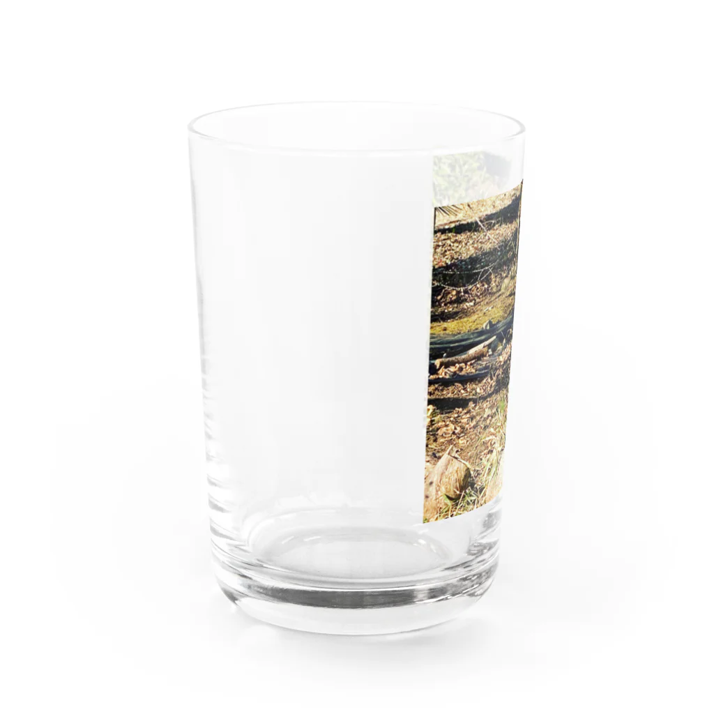 nonanoのにゃんともカモフラ Water Glass :left