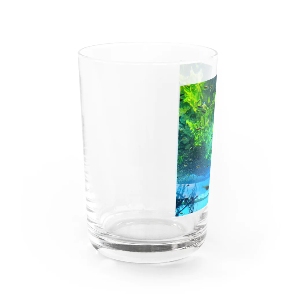 角笛とハレー彗星の魚と同じ目線になる Water Glass :left