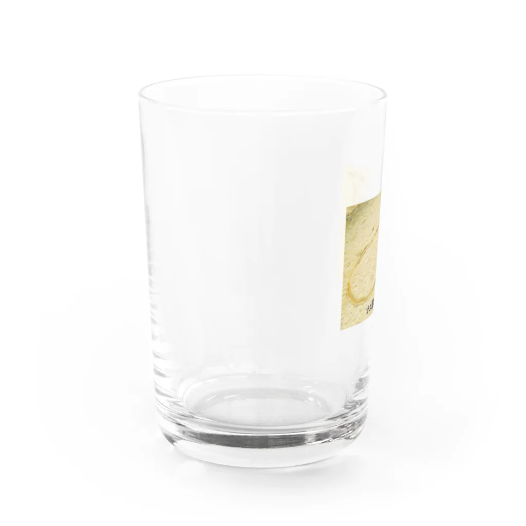 39Sのナス科の地上絵 Water Glass :left