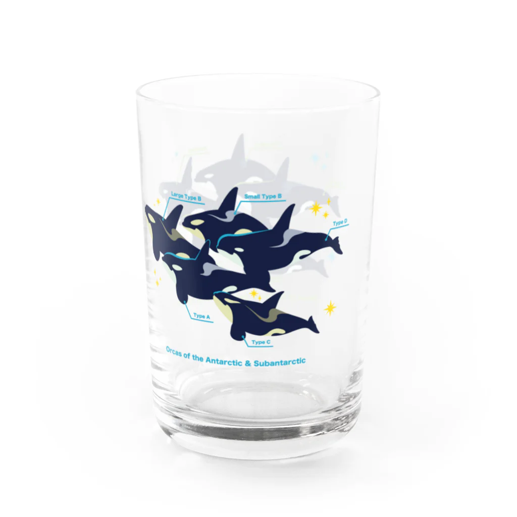 みなとまち層のType:Orcasマグカップ Water Glass :left