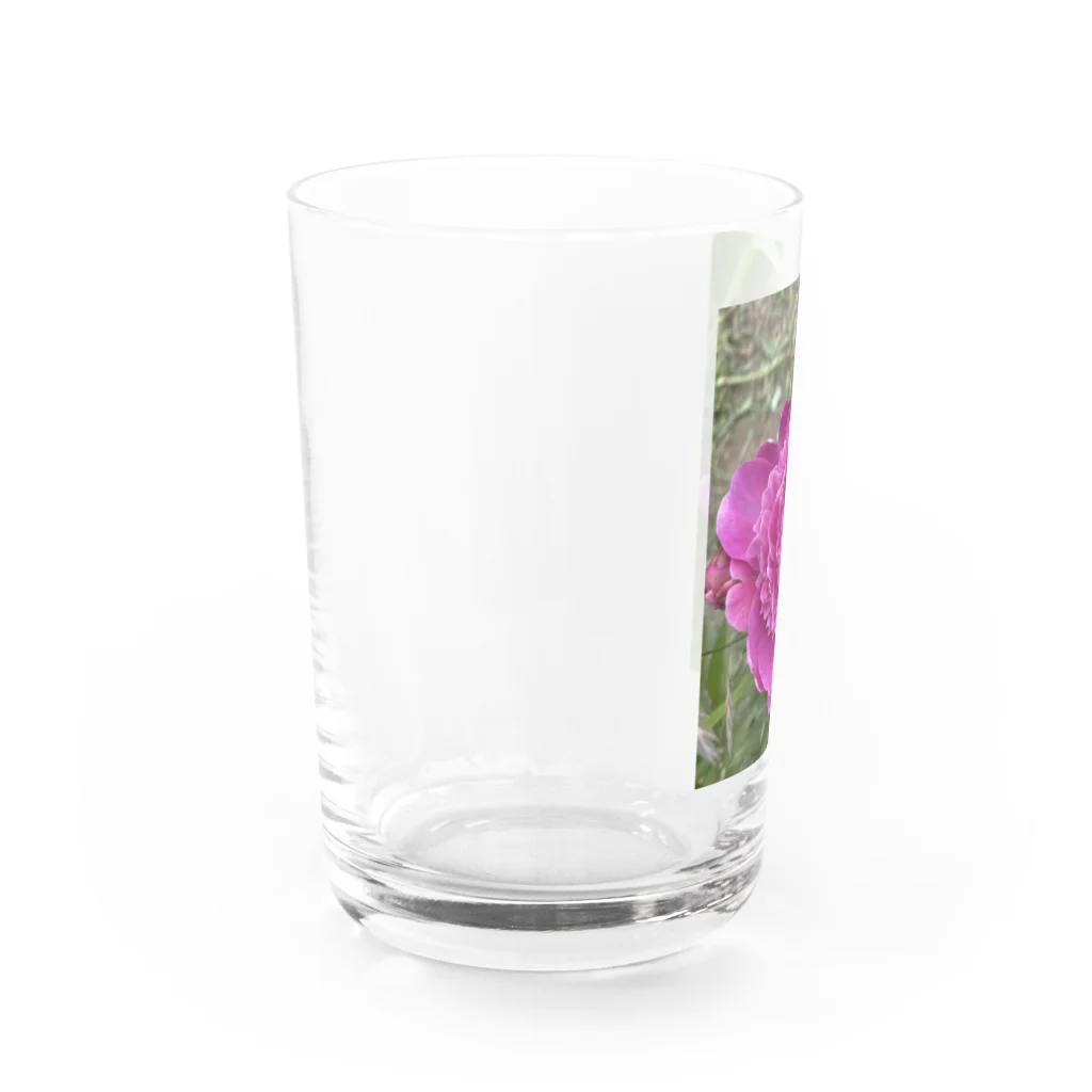 kerokoro雑貨店の華　芍薬(しゃくやく) ピンク Water Glass :left