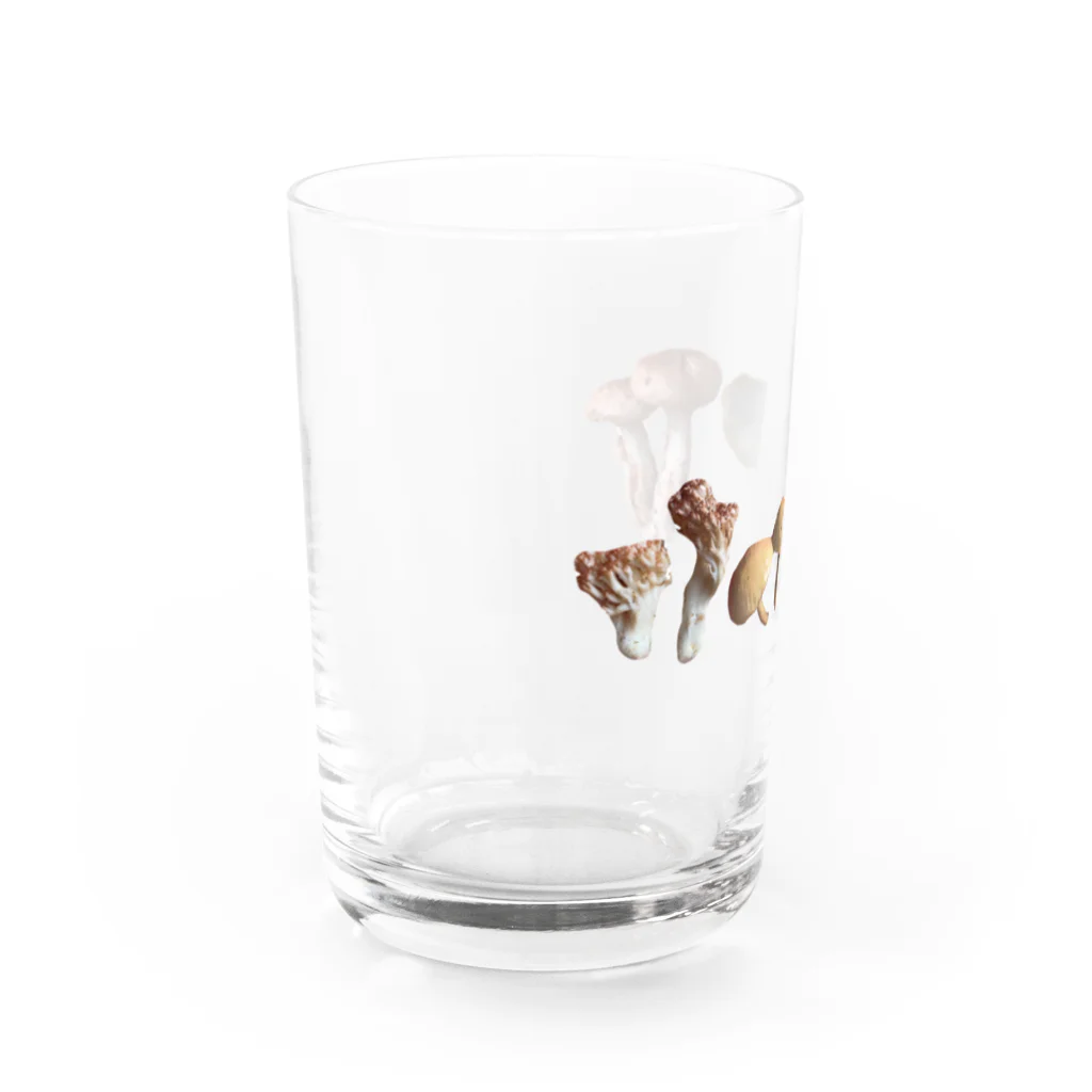 Yショップニシ　木崎湖畔からこんにちはの本シメジと雑キノコたち Water Glass :left