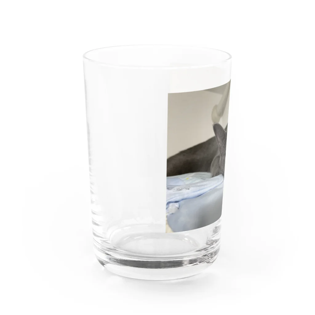 文字だけ元気な人@Ixionのぷりちー寝顔 Water Glass :left