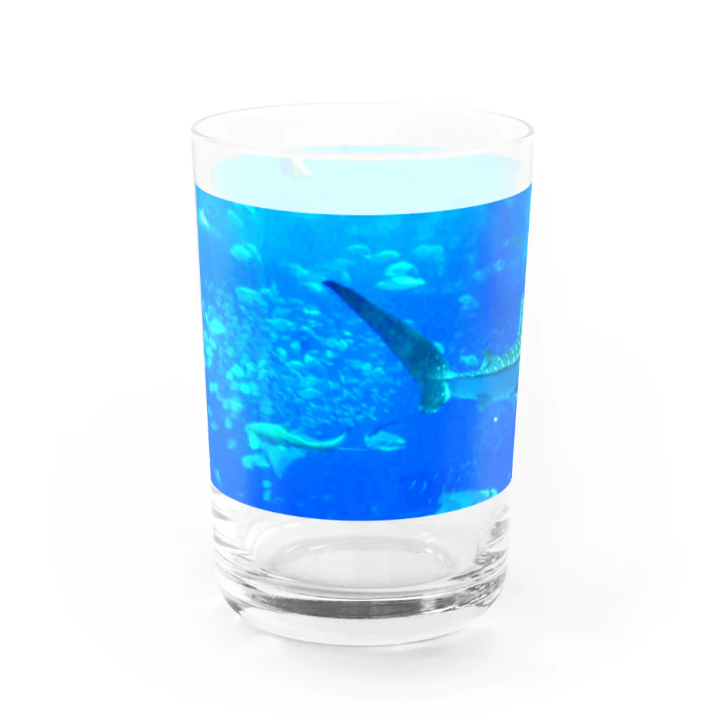 サーモン祭のジンベイザメ Water Glass :left