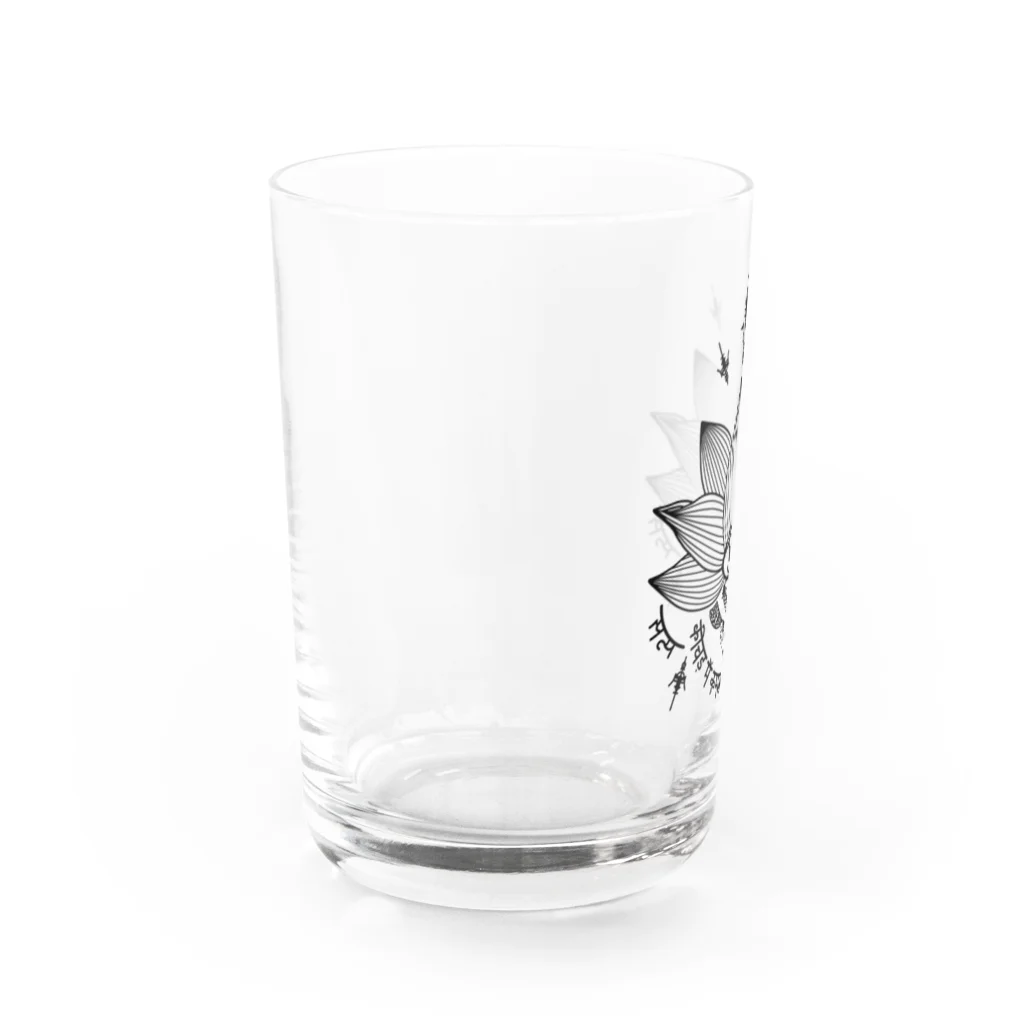 Alba spinaの蓮　モノクロ Water Glass :left