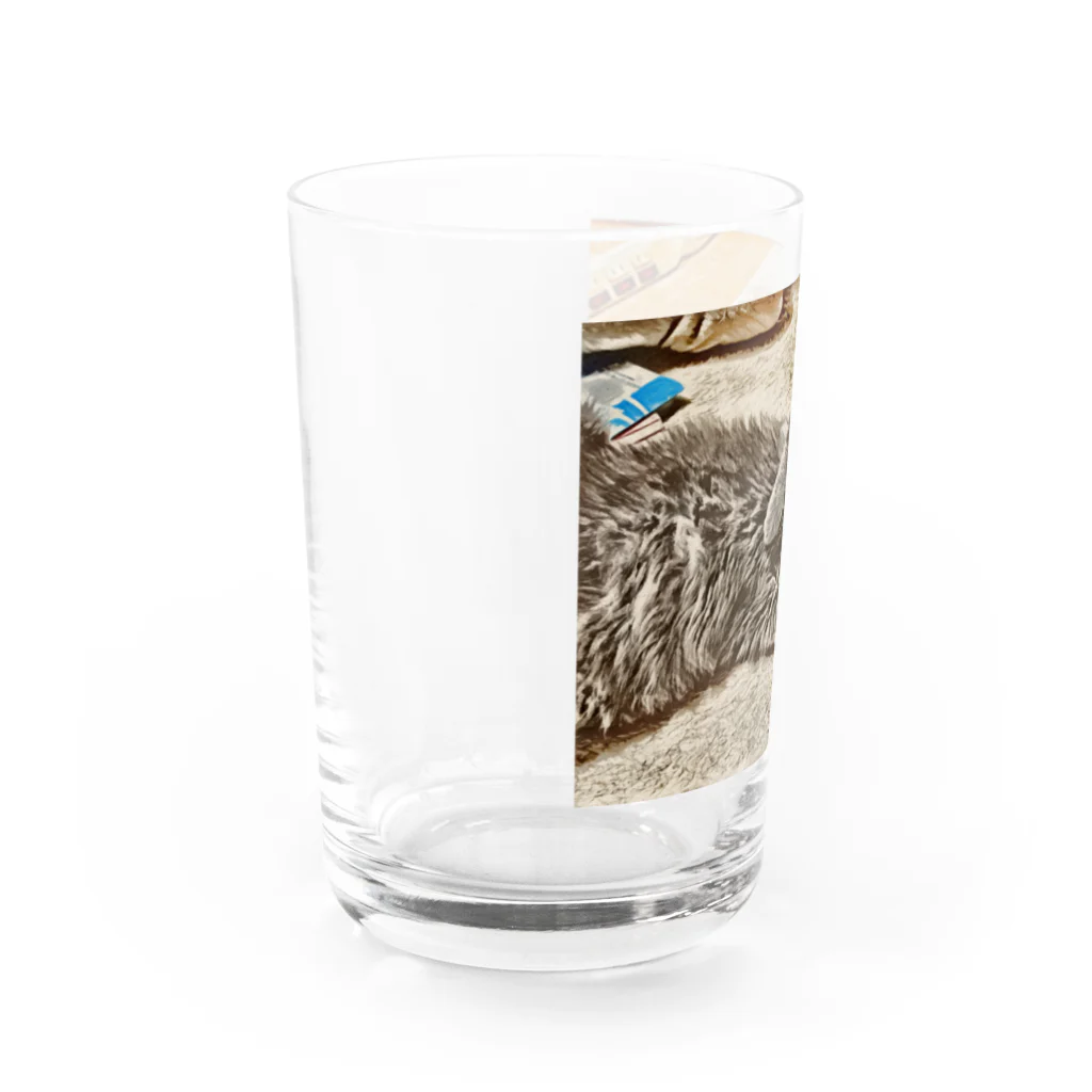 yukepanshopのあざといネコ Water Glass :left