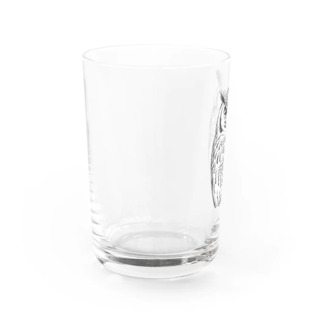 segasworksのねむいアフリカオオコノハズク Water Glass :left