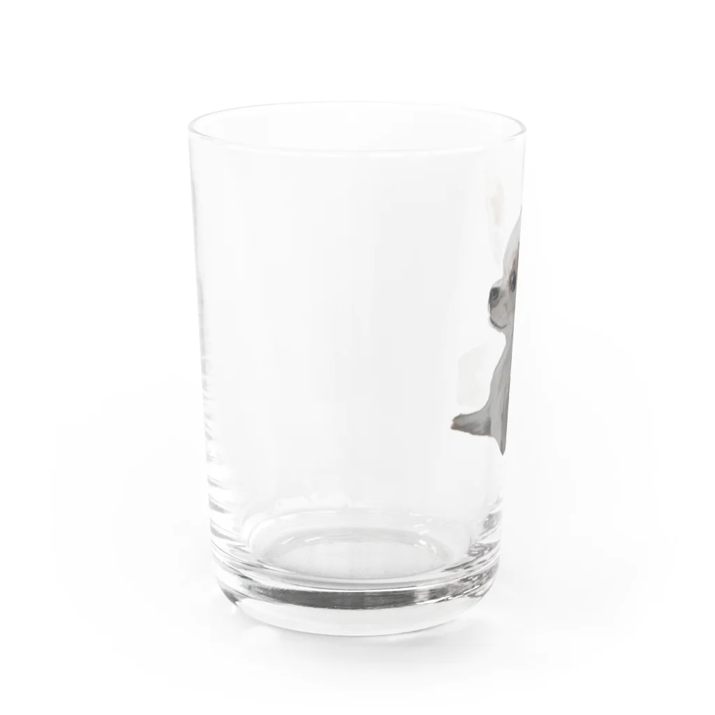 チワワの87_lucioのチワワの肖像 Water Glass :left