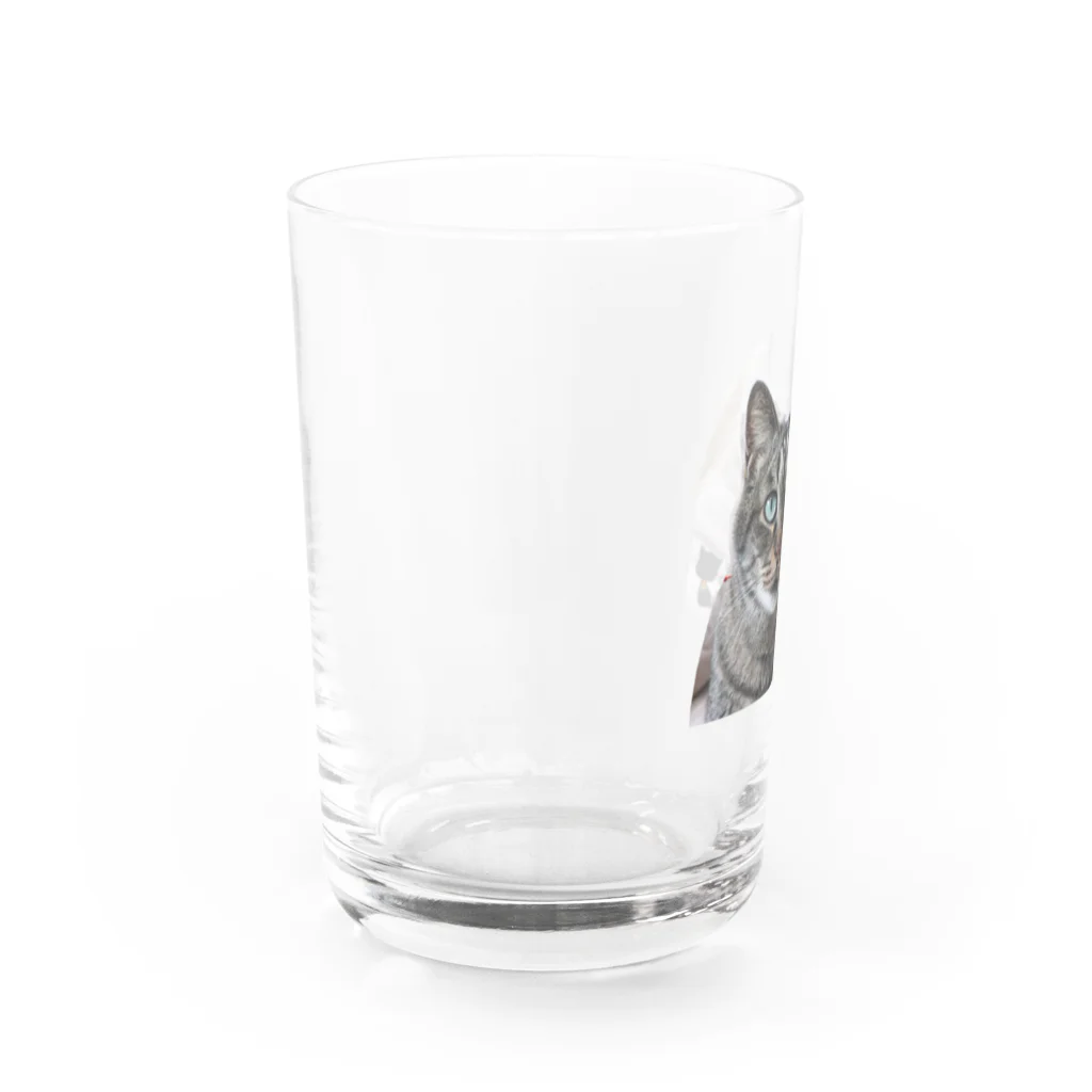 CatClubCherishのバンブー Water Glass :left