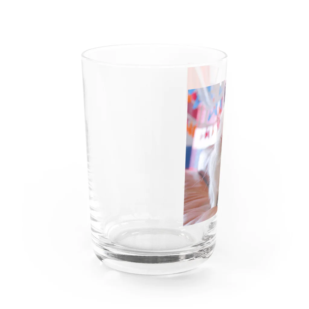 あんにんのおみせのキリッとあんにん Water Glass :left