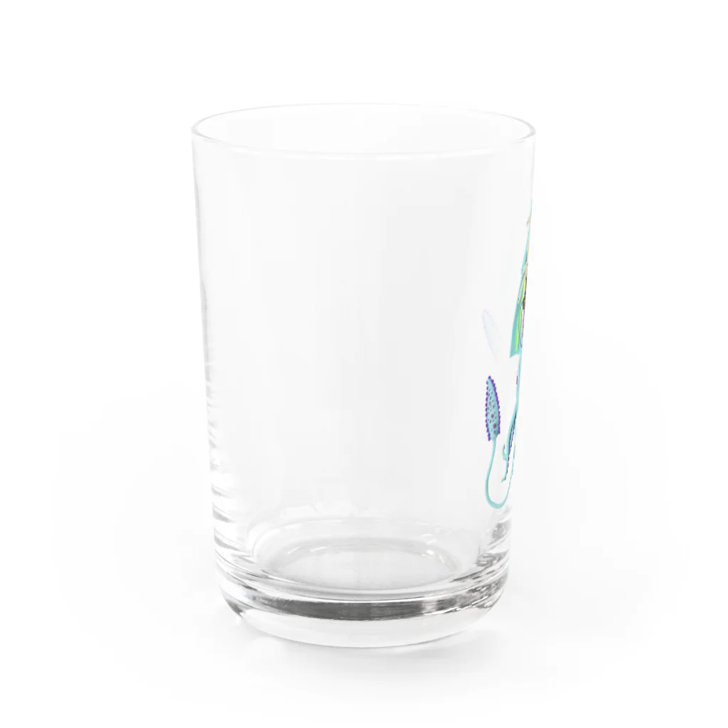 水島ひねのイカの解剖標本 Water Glass :left