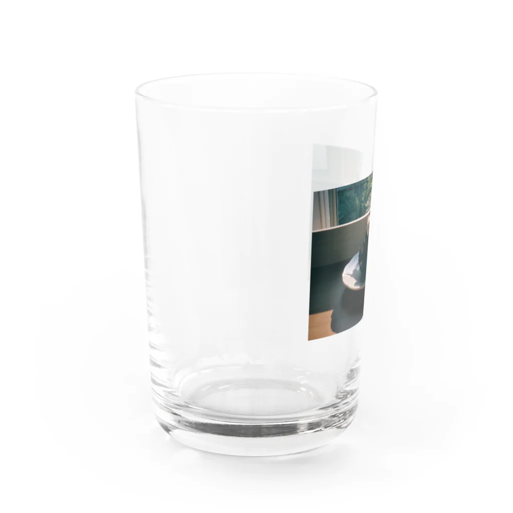 ミオミオノのたぬきのケーキ Water Glass :left