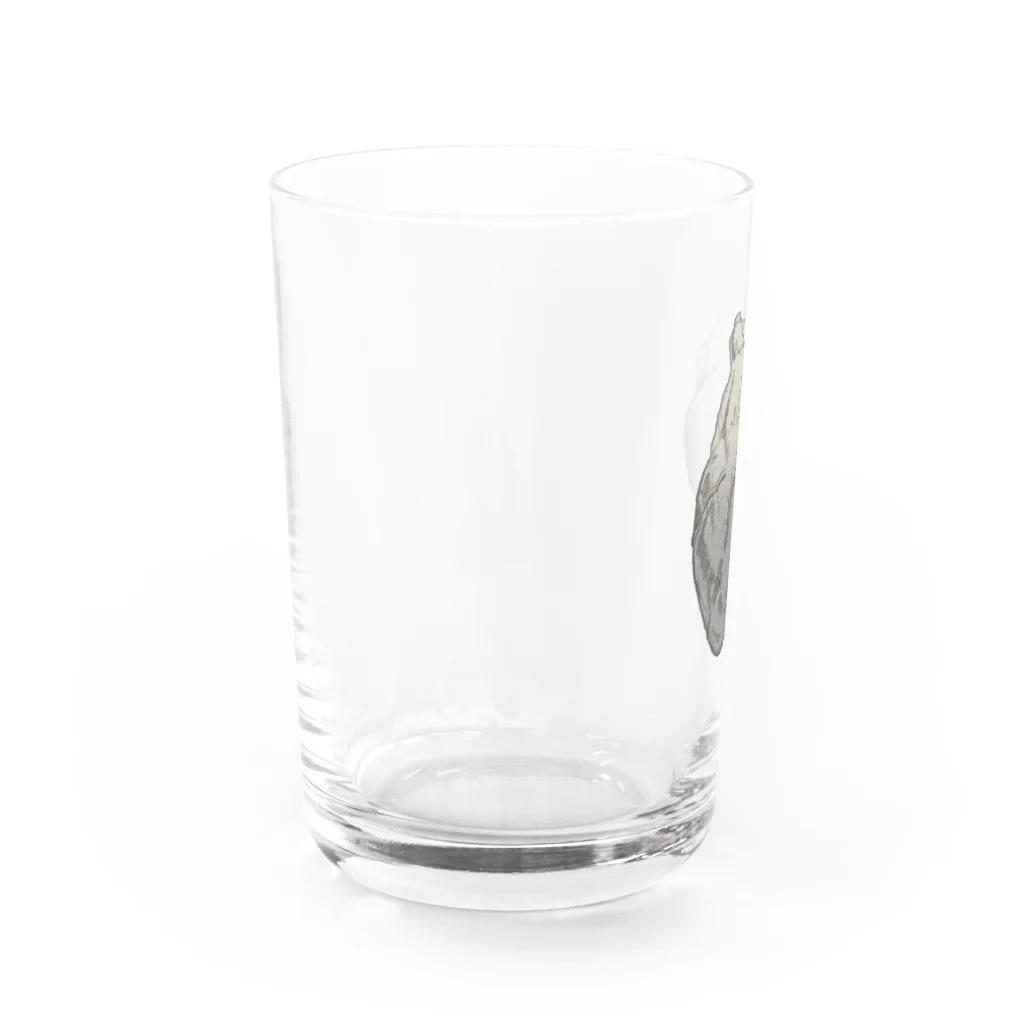 greedyingの内の美 Water Glass :left