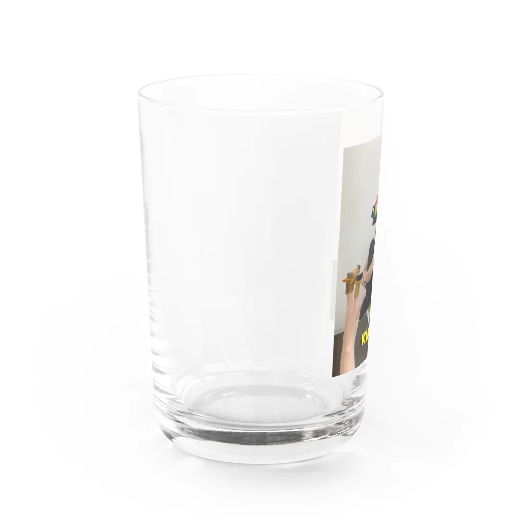 animal office lady おーえるのKUMAMURIN変身後 Water Glass :left