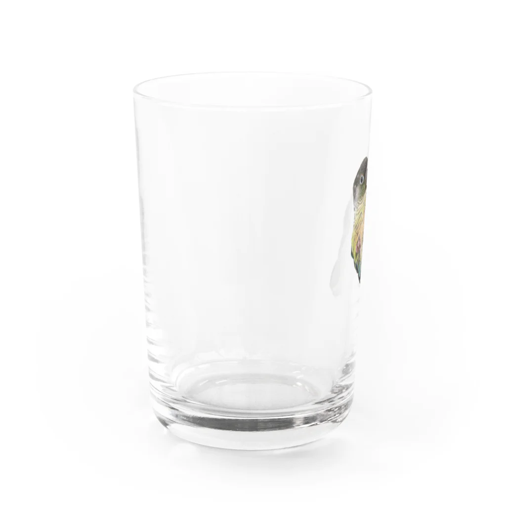 私による私のためのグッズ屋さんのころころトトちゃん Water Glass :left