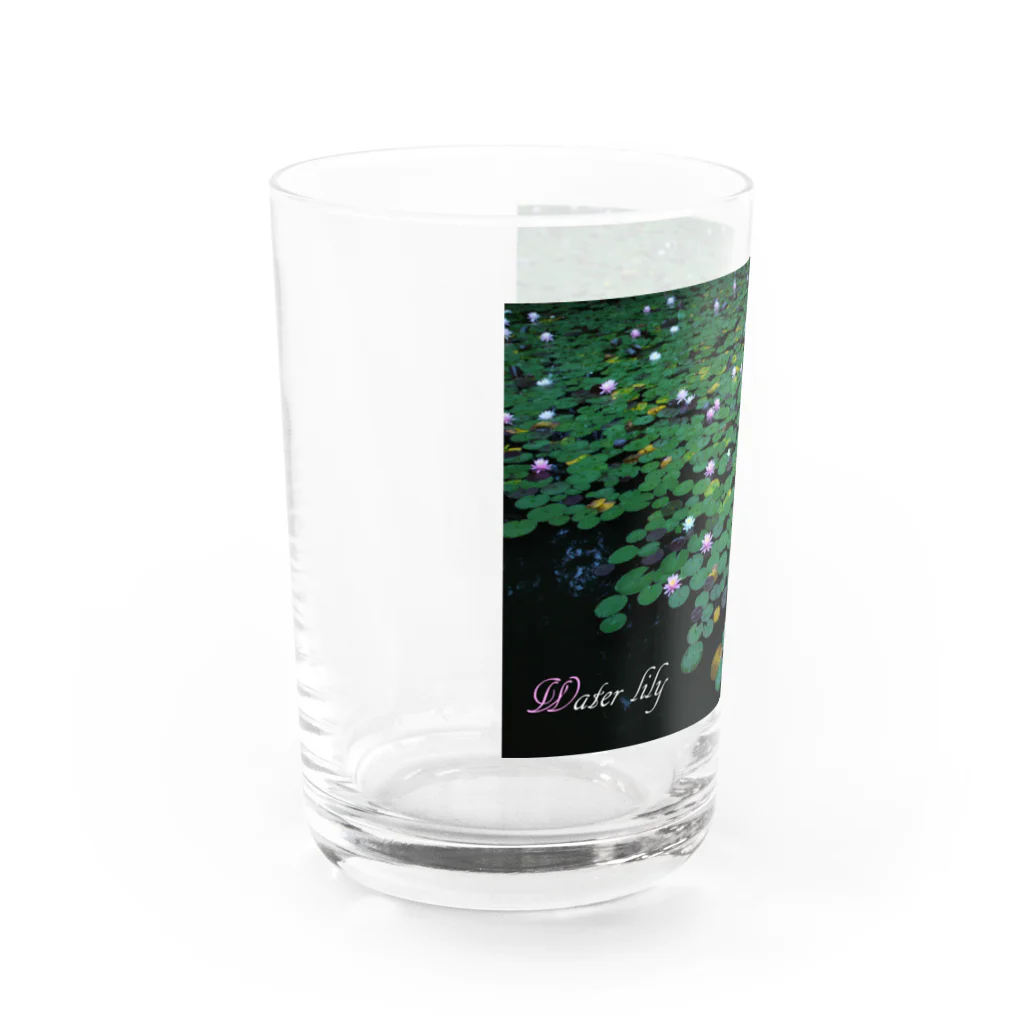 photo-kiokuの睡蓮 Water Glass :left