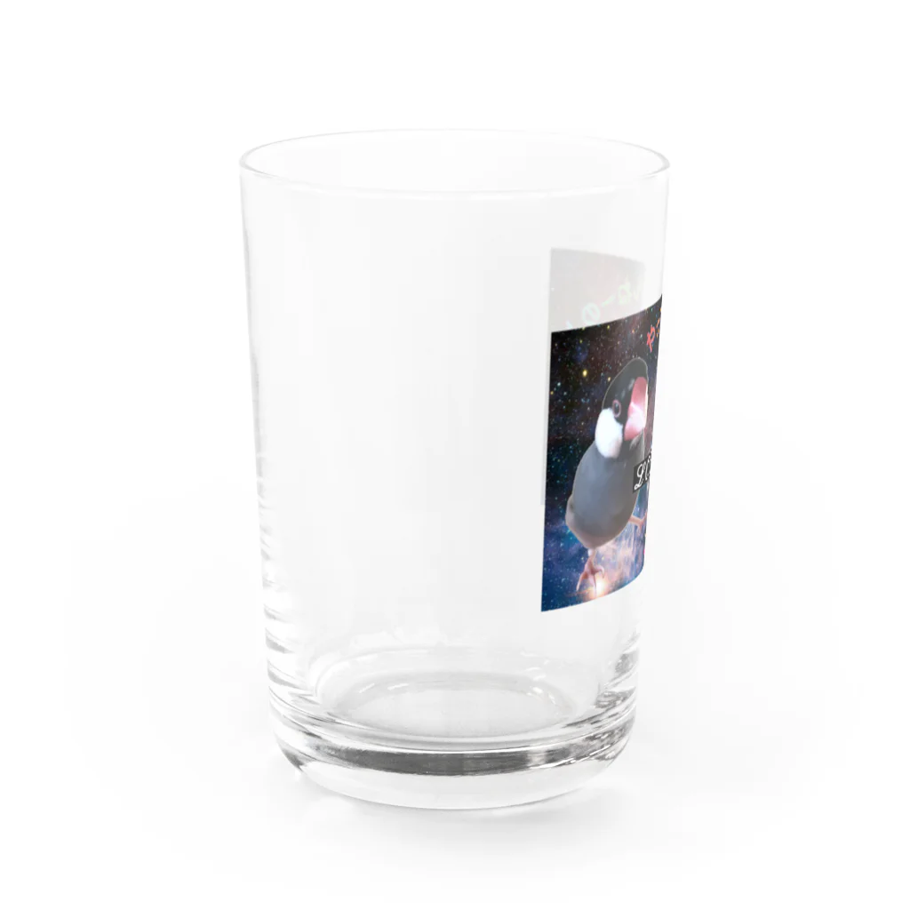 Buncho_kansaiのJavaspparow TORIPI Water Glass :left