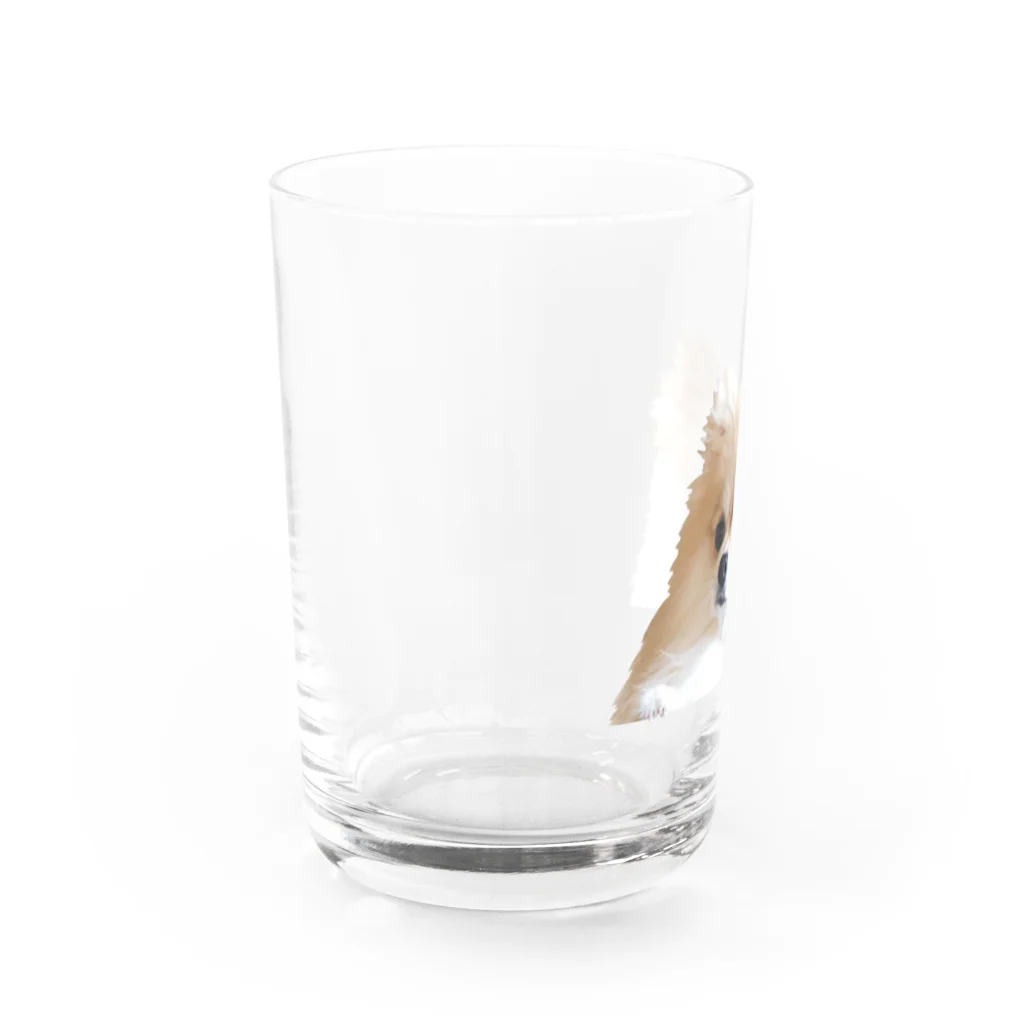 ポメラニアン グッズ unimofu pomeranianのポメラニアン ひょっこりunimofu hyokkori Water Glass :left