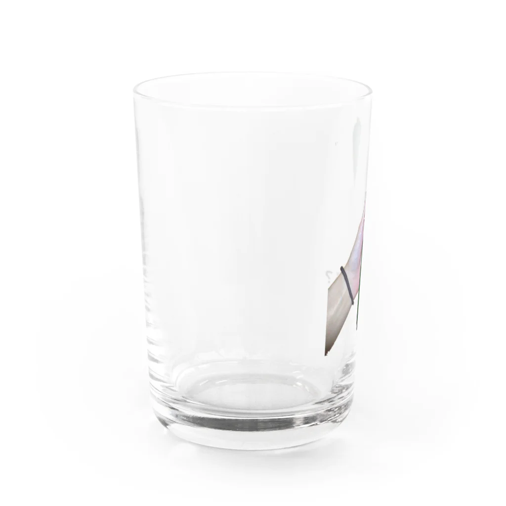 TuBOMiの今年取れたキュウリ Water Glass :left