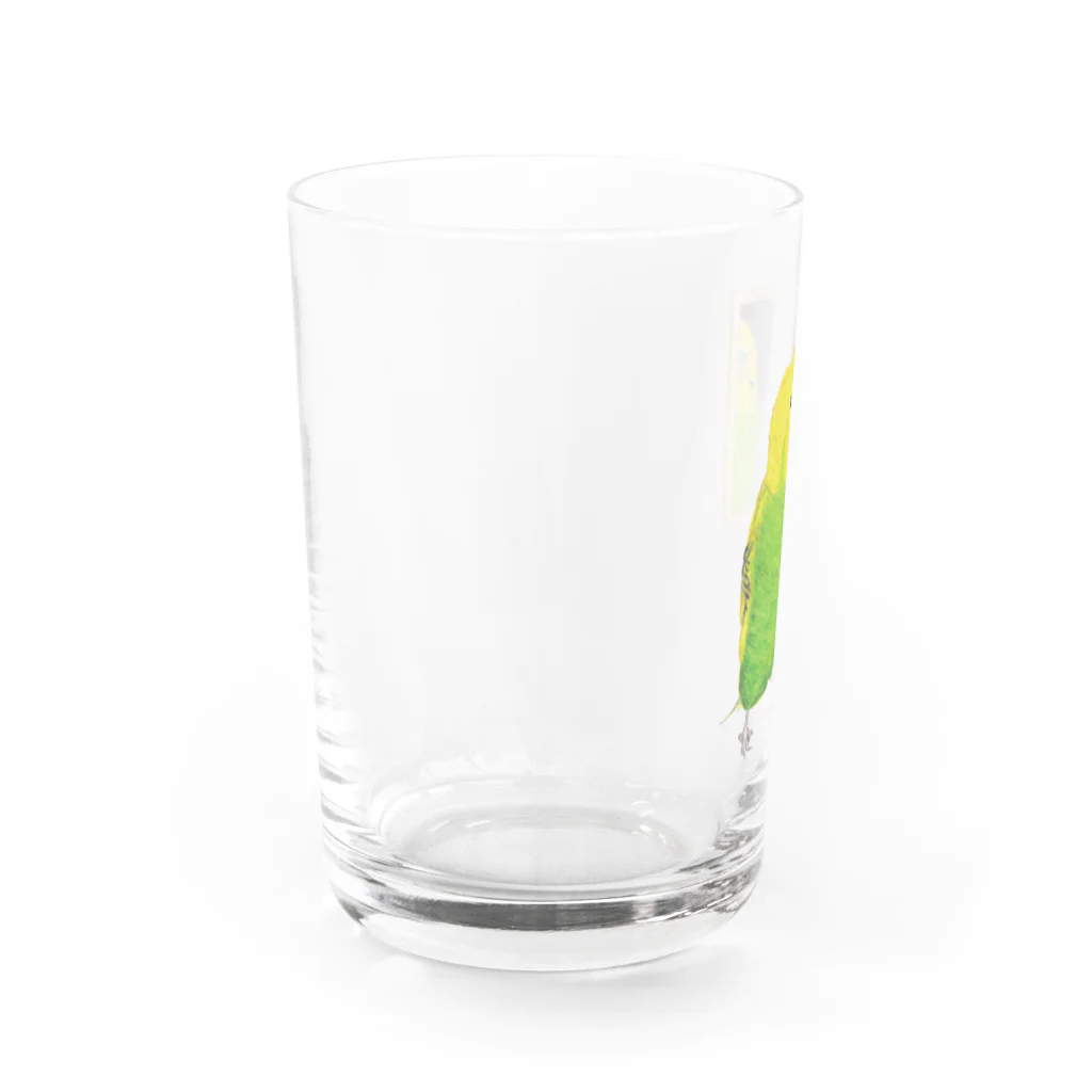 森図鑑の[森図鑑]セキセイインコと鏡  Water Glass :left