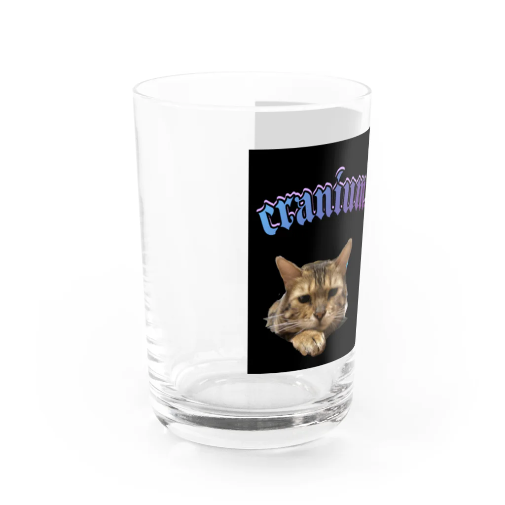 ꏸꋪꋫꁹꂑꐇꁒ𖤐《毎日ハロウィンのクラニアム》の猫のるいたまんじゅう Water Glass :left