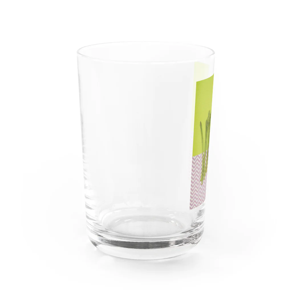 PuRiHaのアスパラ Water Glass :left