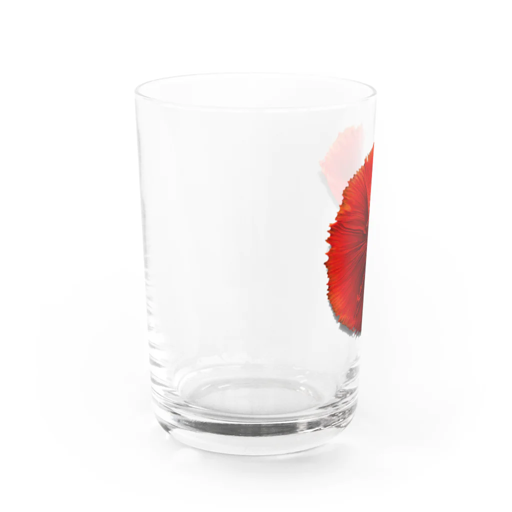 PuRiHaのベタちゃん Water Glass :left