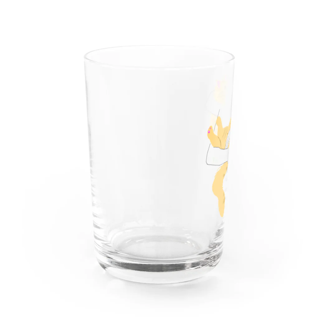 momolove のBaby hugにゃんこ(長毛茶トラ猫) Water Glass :left