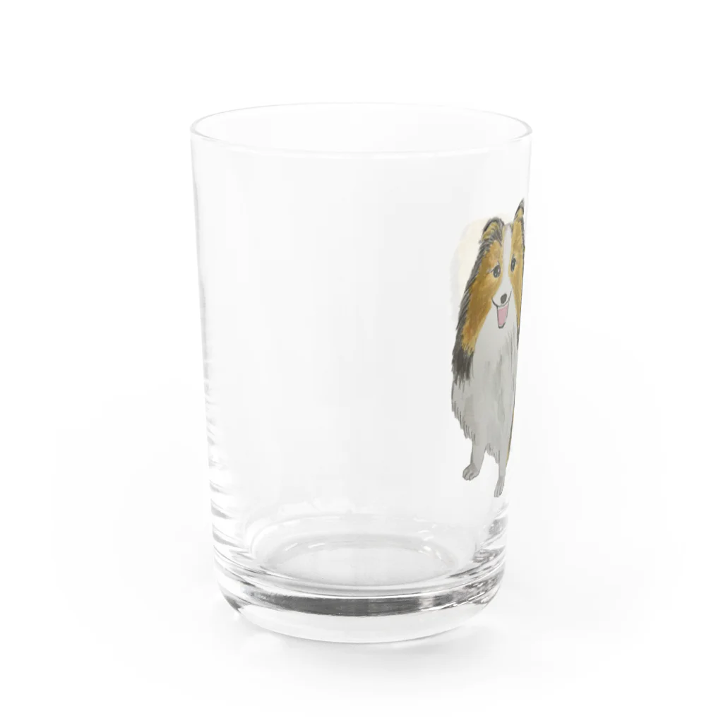 Coshi-Mild-Wildのシェルティですよ💕 Water Glass :left
