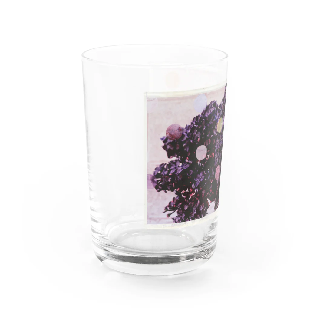 Oncidium  by minamisenaのドット Water Glass :left