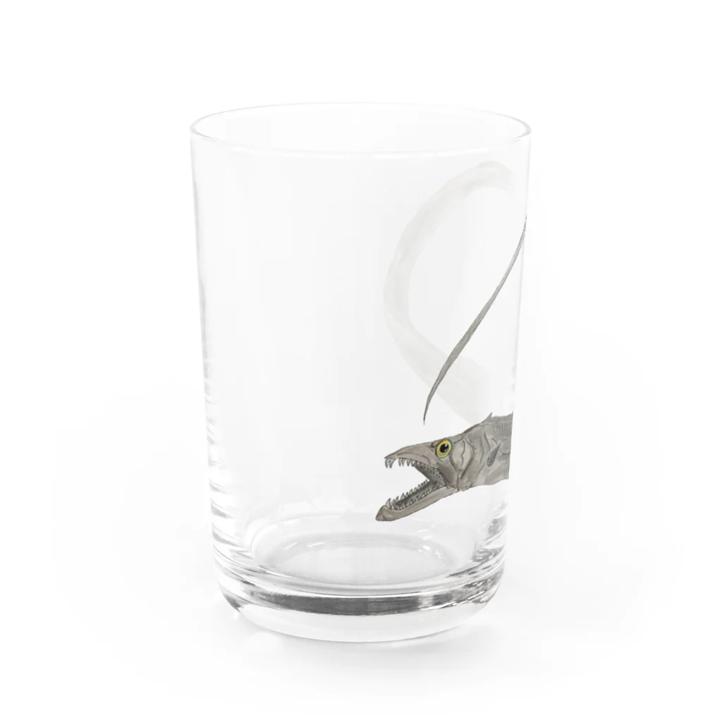 Coshi-Mild-Wildの太刀魚だぞっ‼️ Water Glass :left