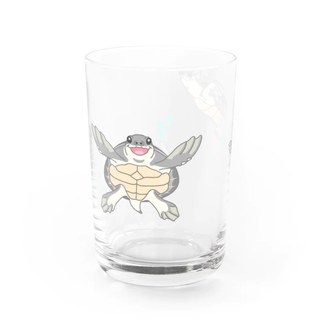 ありまる商店の泳ぐスッポンモドキ Water Glass :left